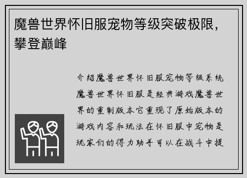 魔兽世界怀旧服宠物等级突破极限，攀登巅峰